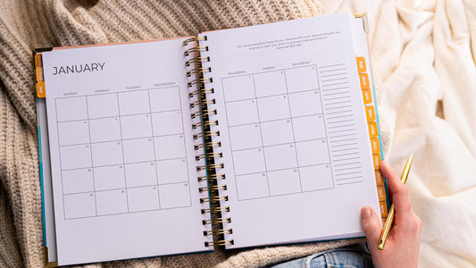 Plans to Prosper January monthly pages